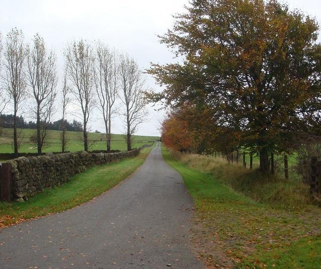 Abbotshaw House Farm B&B Newcastleton Dış mekan fotoğraf